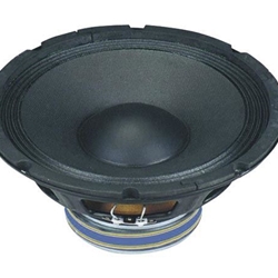 ALTAVOZ PROFESIONAL 12" / 8 OHM - Imagen 1