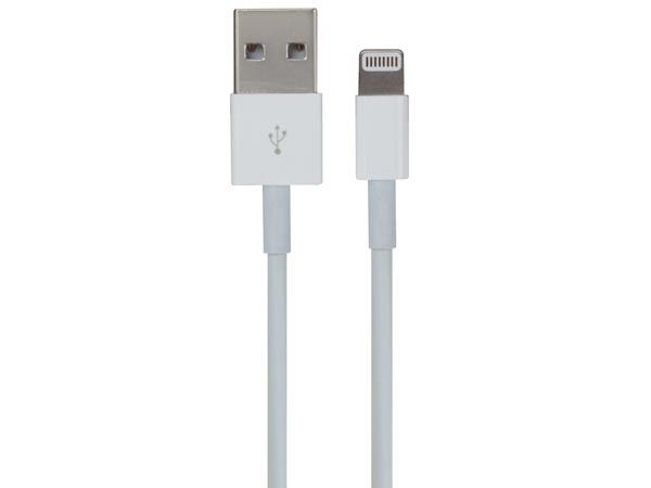 CABLE LIGHTNING (8 PINES) A USB TIPO A - Imagen 1