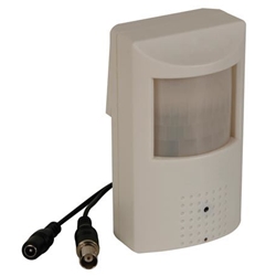 CÁMARA SONY 1/3" EN CARCASA PIR - Imagen 1