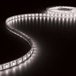 CINTA CON LEDs FLEXIBLE - COLOR BLANCO FRÍO 6500K - 300 LEDs - 5m - 24V - Imagen 1