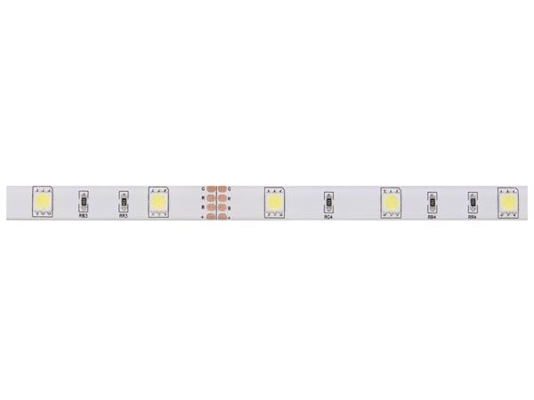 CINTA DE LEDs FLEXIBLE - COLOR BLANCO FRÍO - 150 LEDs - 5m - 12V - Imagen 2