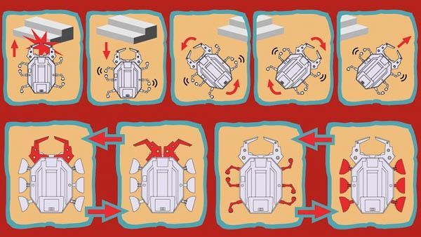 Kit Robot "Scarab" - Imagen 1