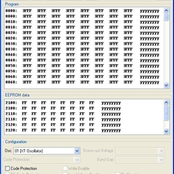 Programador PIC (TM) - Imagen 1